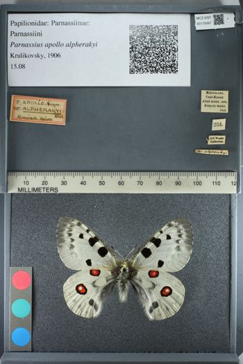 Media type: image;   Entomology 175067